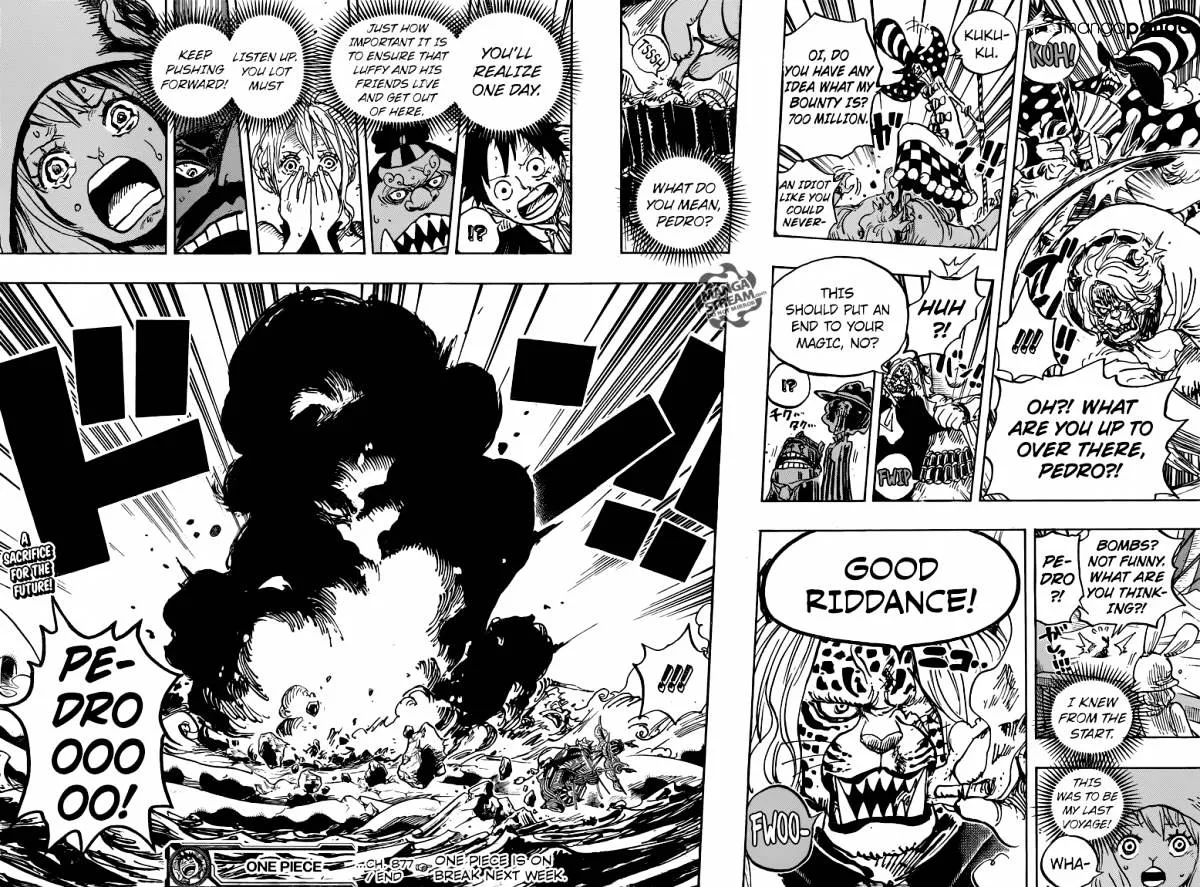 One Piece Chapter 877 page 17