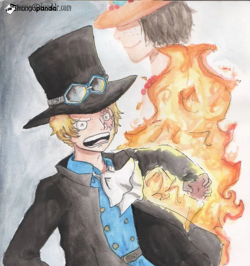 One Piece Chapter 877 page 18