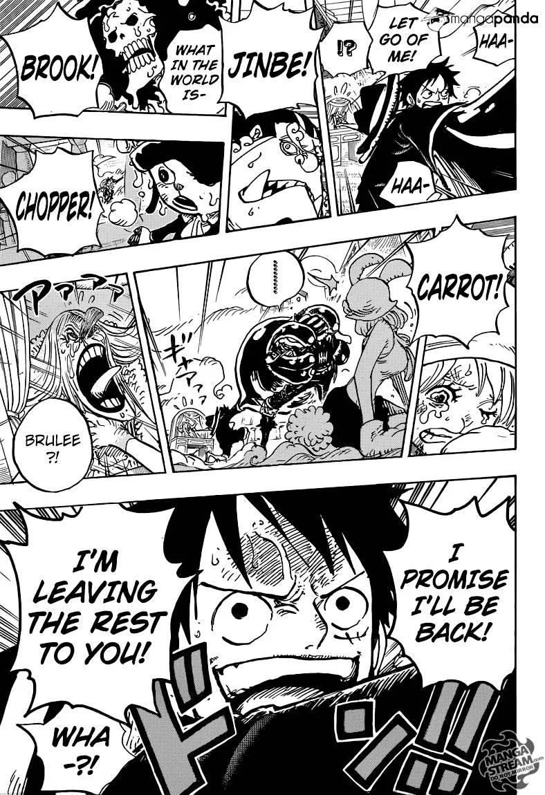 One Piece Chapter 878 page 16