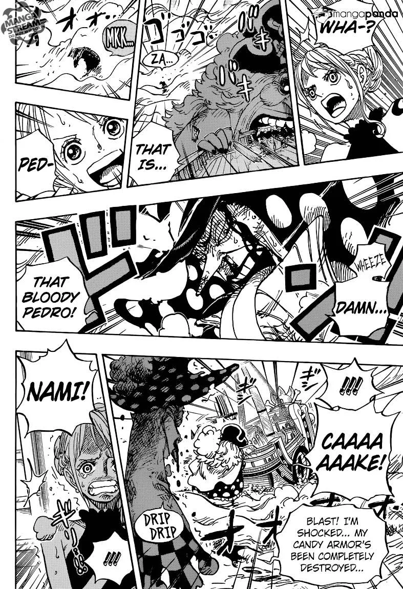 One Piece Chapter 878 page 15