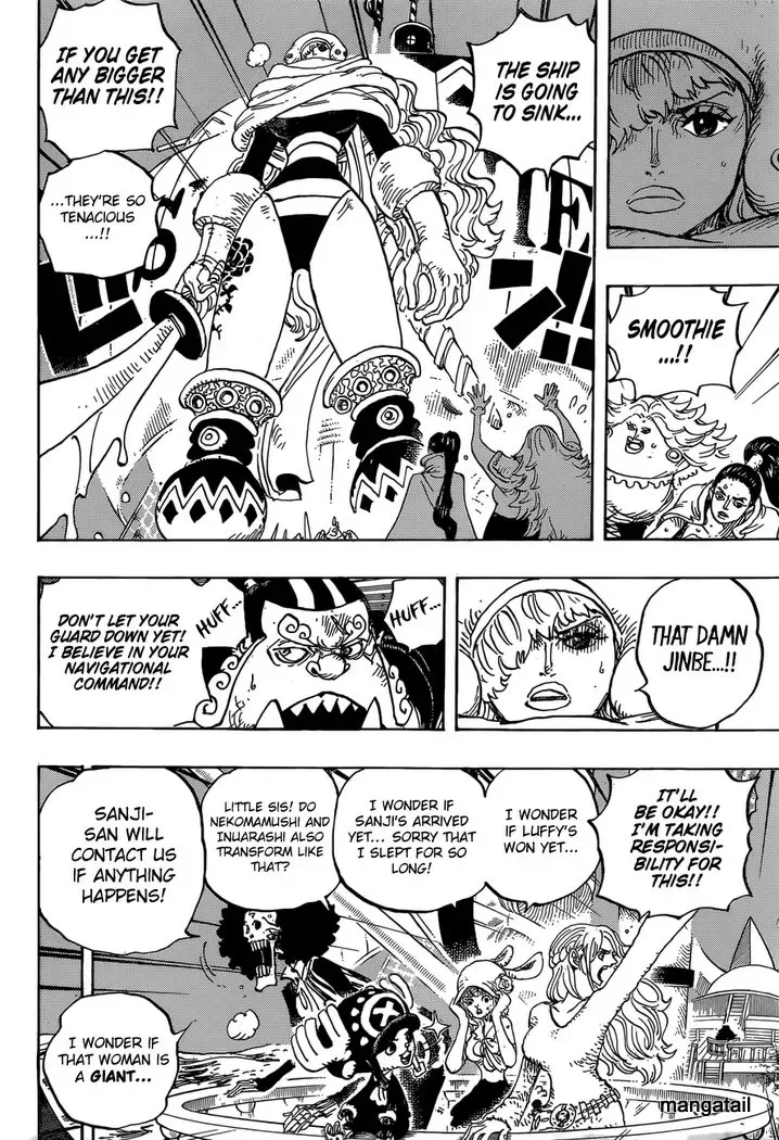 One Piece Chapter 893.99 page 13