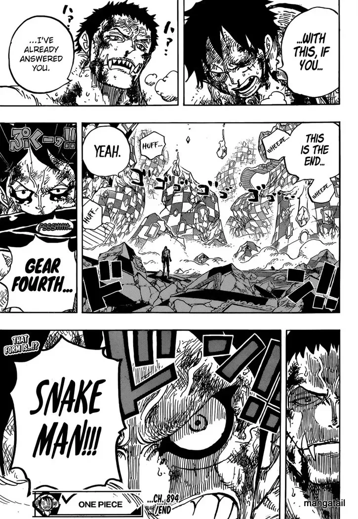 One Piece Chapter 893.99 page 17
