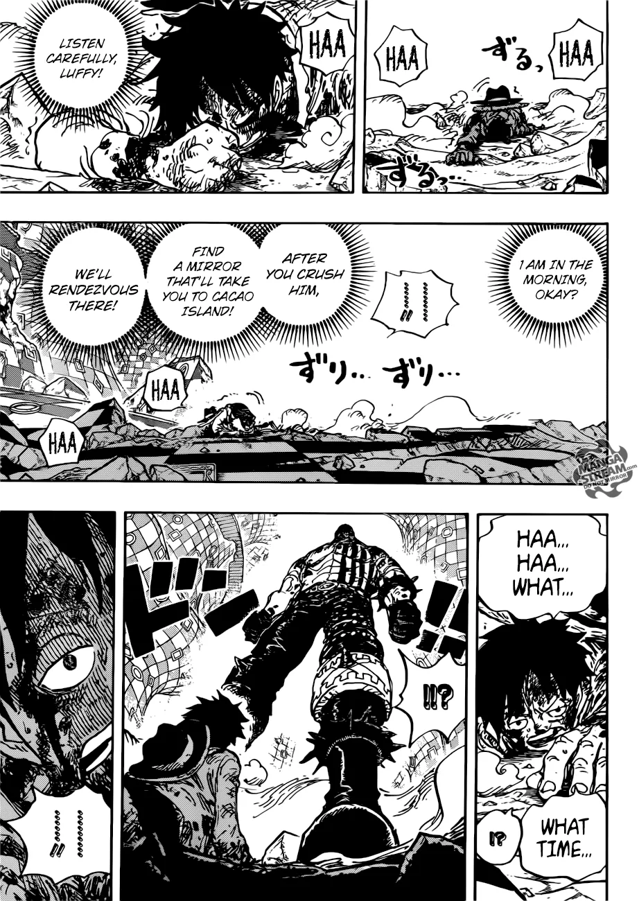 One Piece Chapter 896 page 14