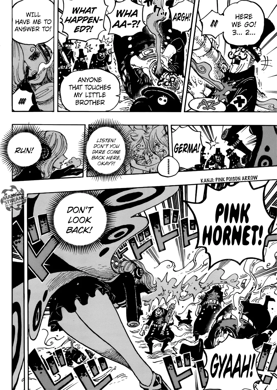 One Piece Chapter 898 page 14