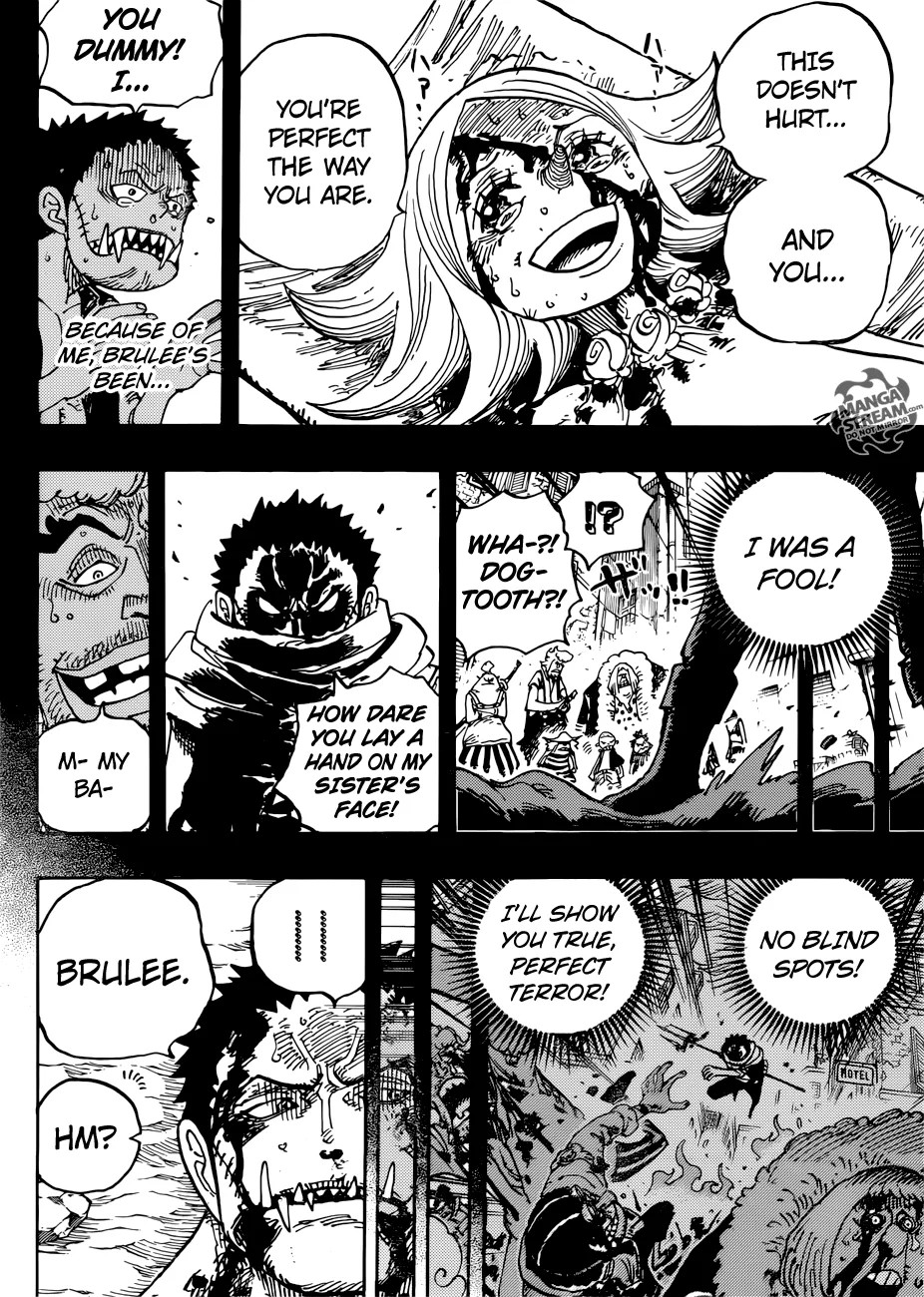 One Piece Chapter 902 page 14