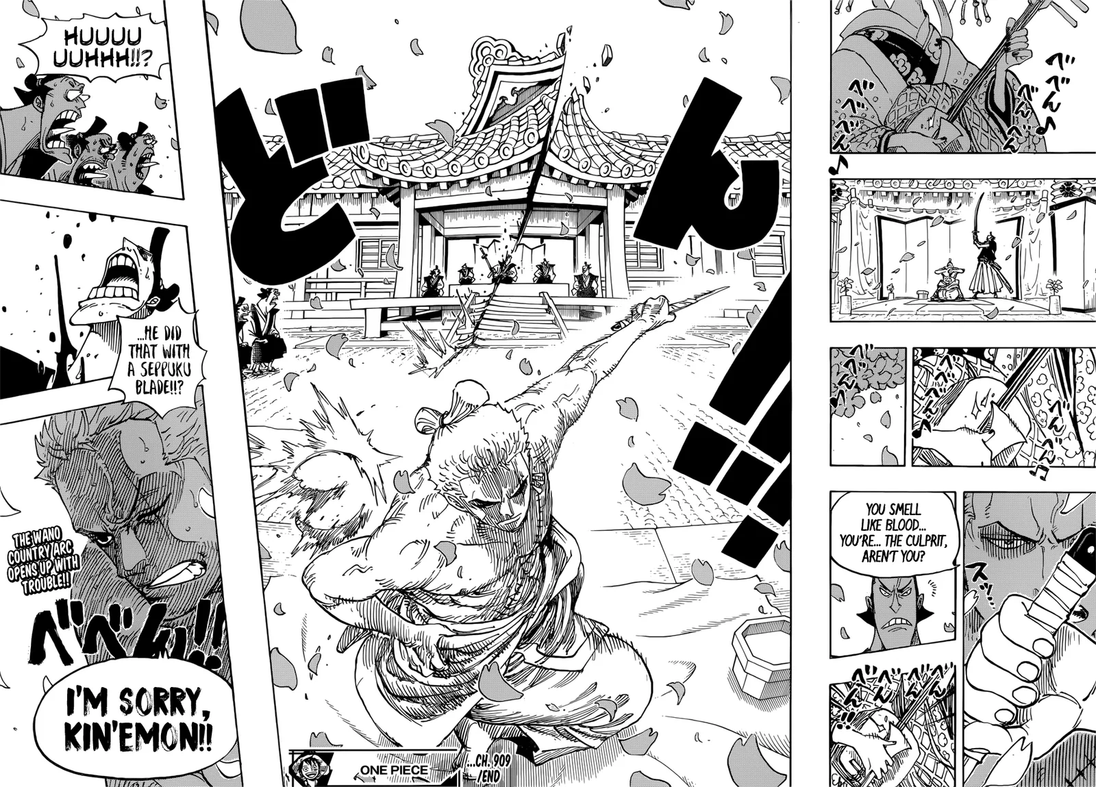 One Piece Chapter 909 page 16