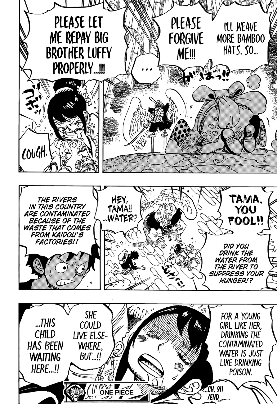 One Piece Chapter 911 page 17