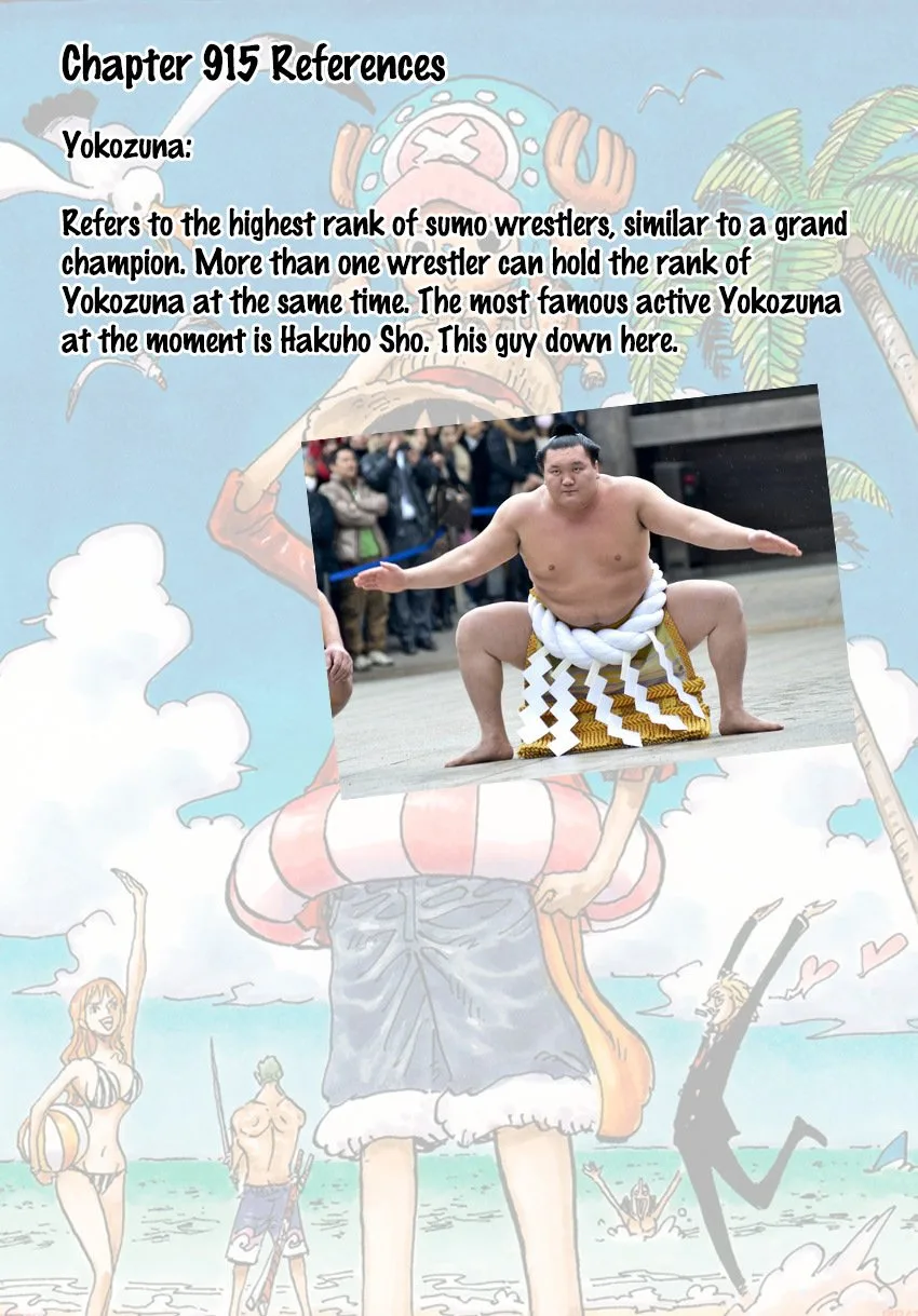 One Piece Chapter 915 page 17