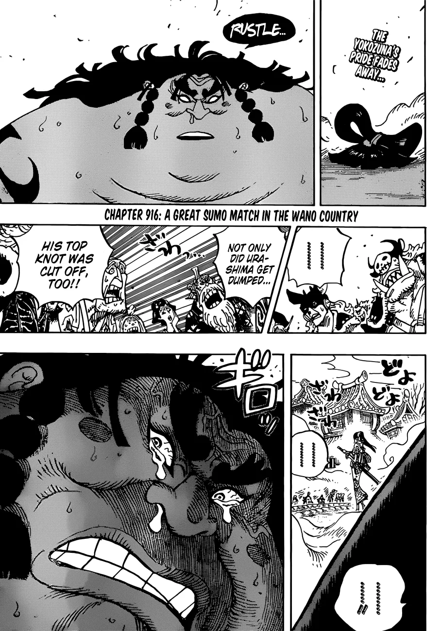 One Piece Chapter 916 page 4