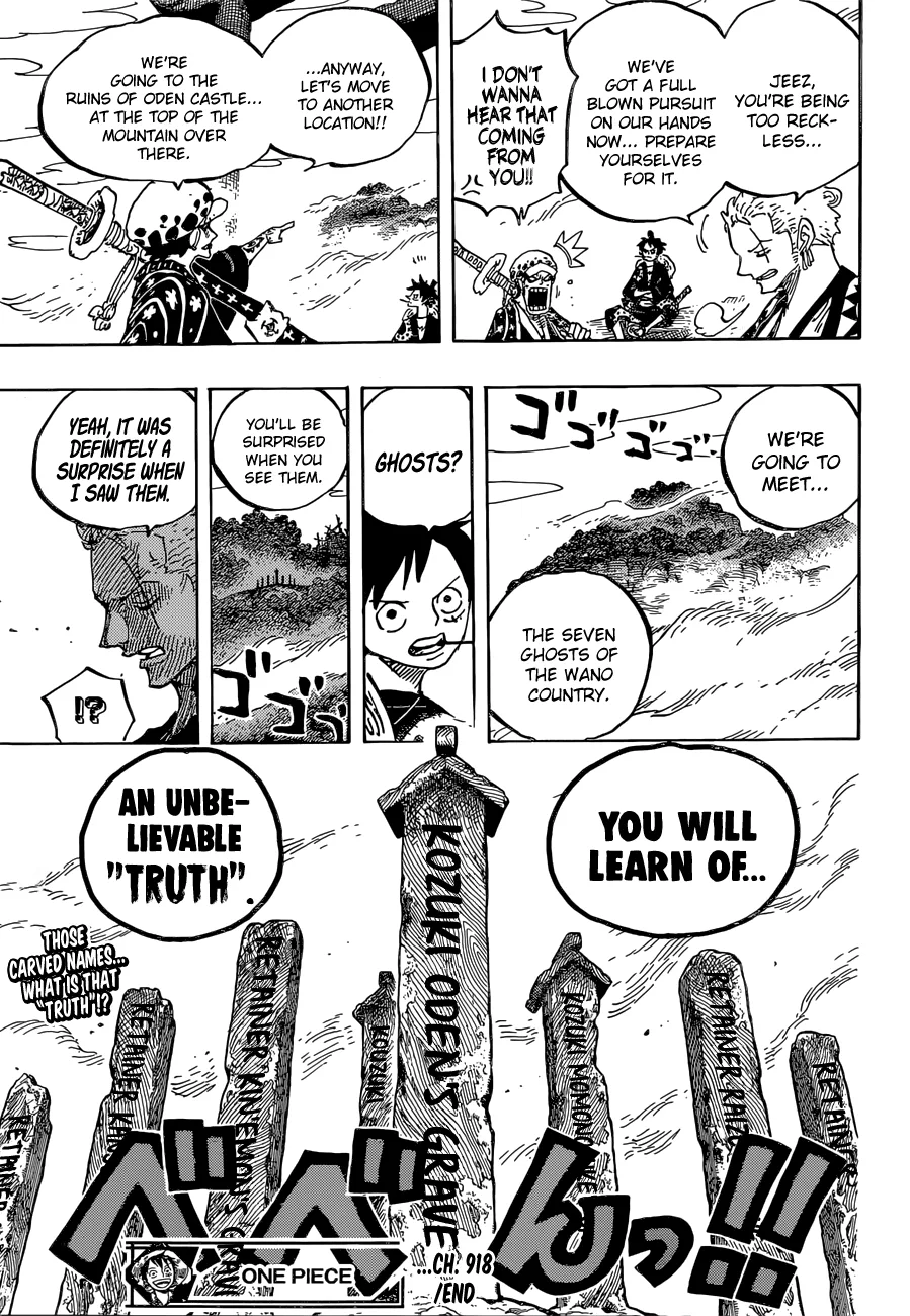 One Piece Chapter 918 page 17