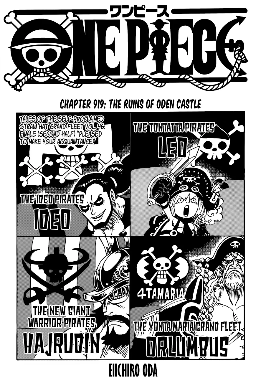 One Piece Chapter 919 page 1