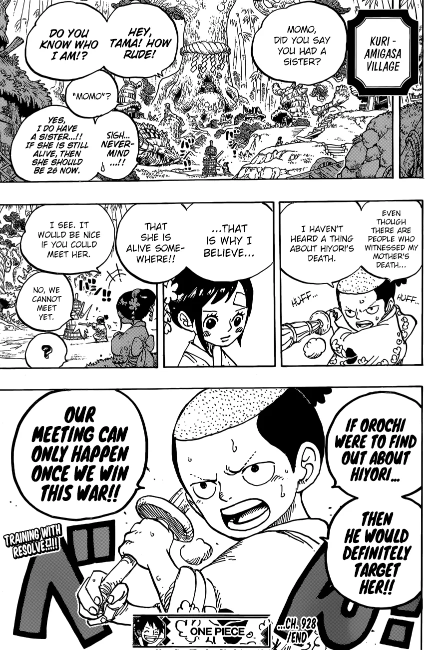 One Piece Chapter 928 page 19