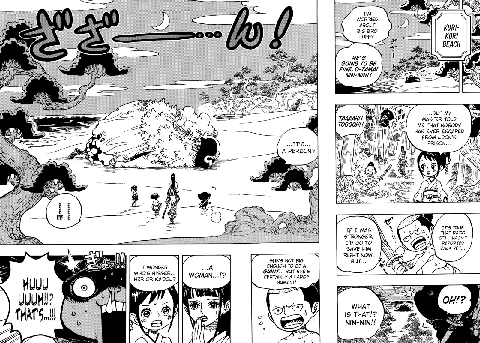 One Piece Chapter 931 page 14
