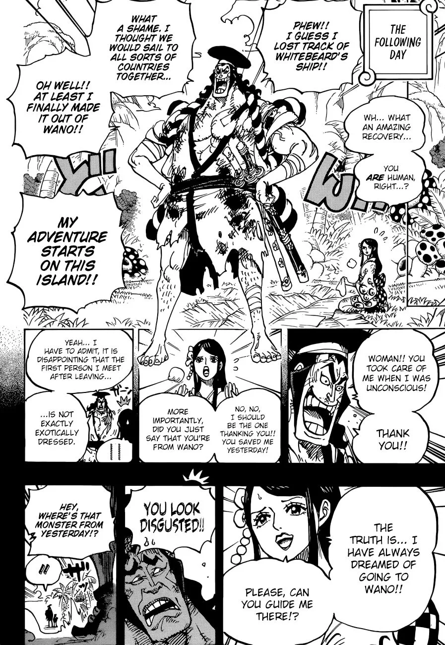One Piece Chapter 964 page 13