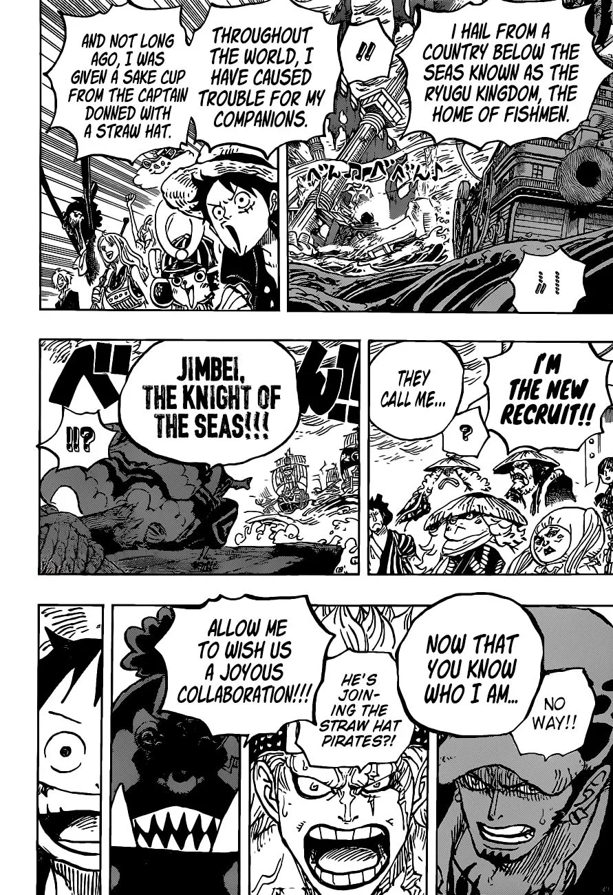 One Piece Chapter 976 page 17