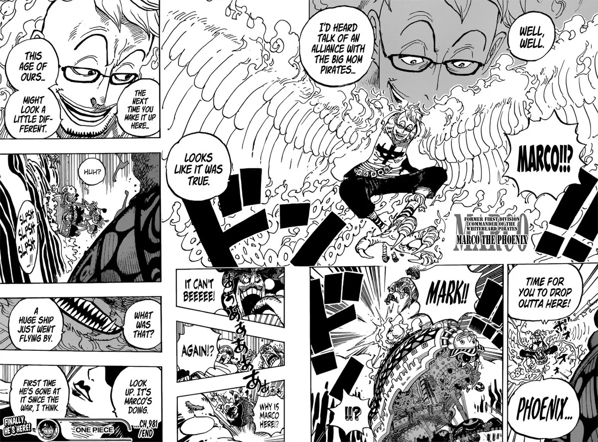 One Piece Chapter 981 page 18