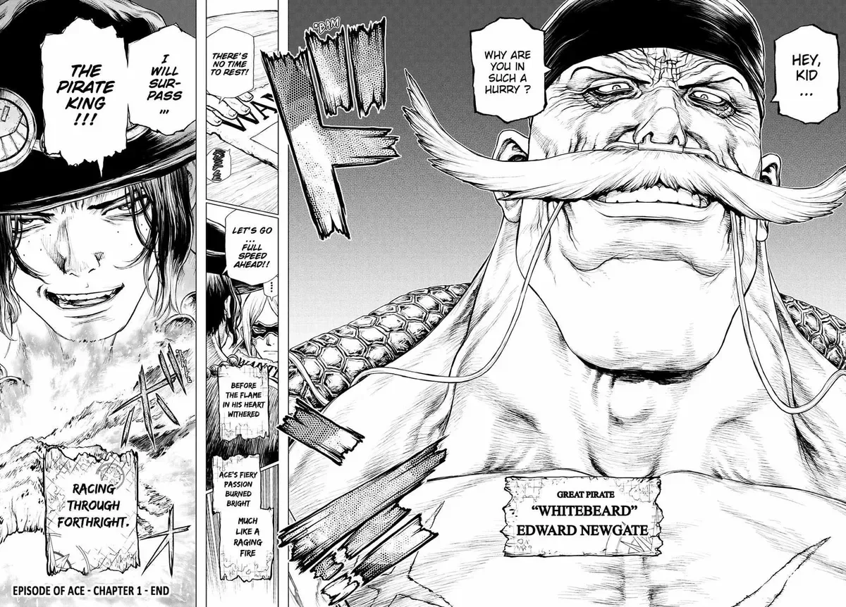 One Piece Chapter 991.5 page 46