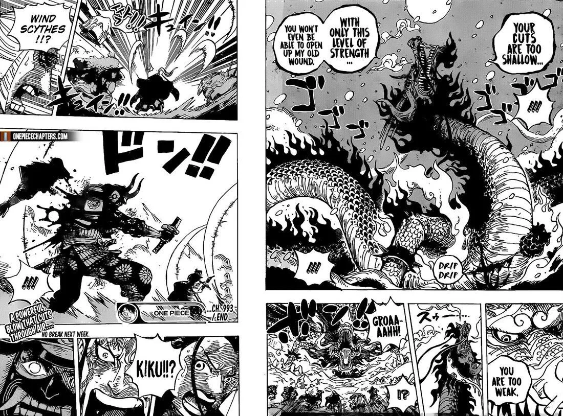 One Piece Chapter 993 page 16