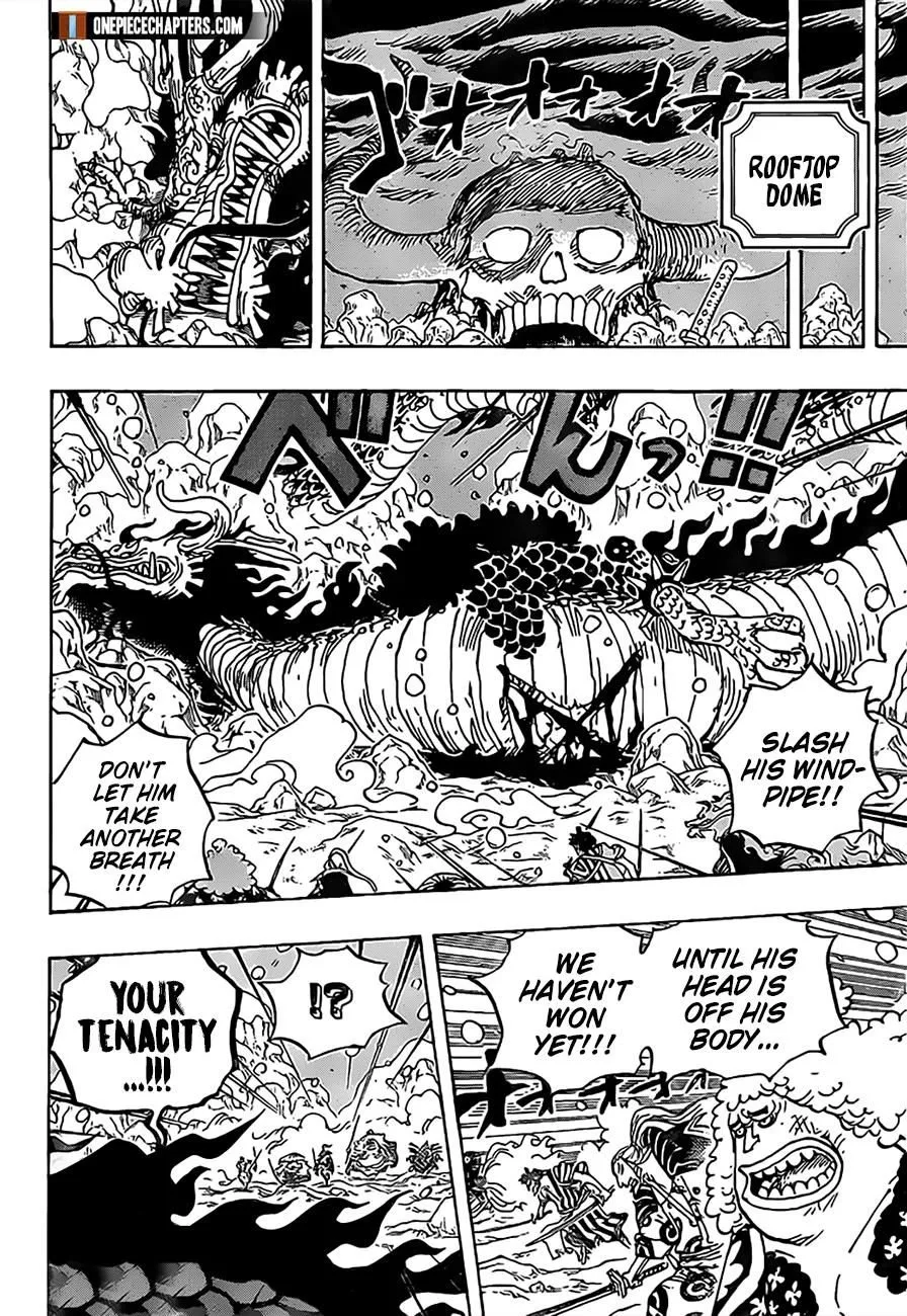 One Piece Chapter 993 page 14