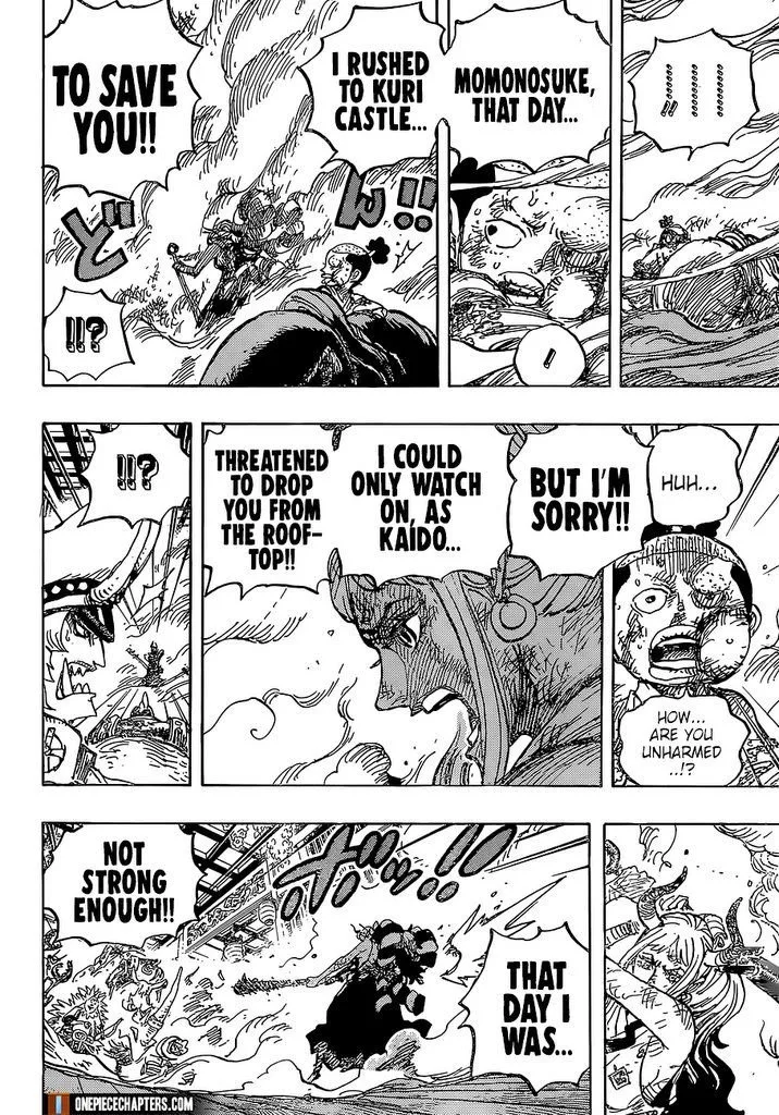 One Piece Chapter 994 page 16