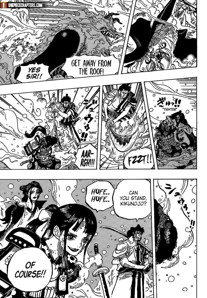 One Piece Chapter 994 page 4