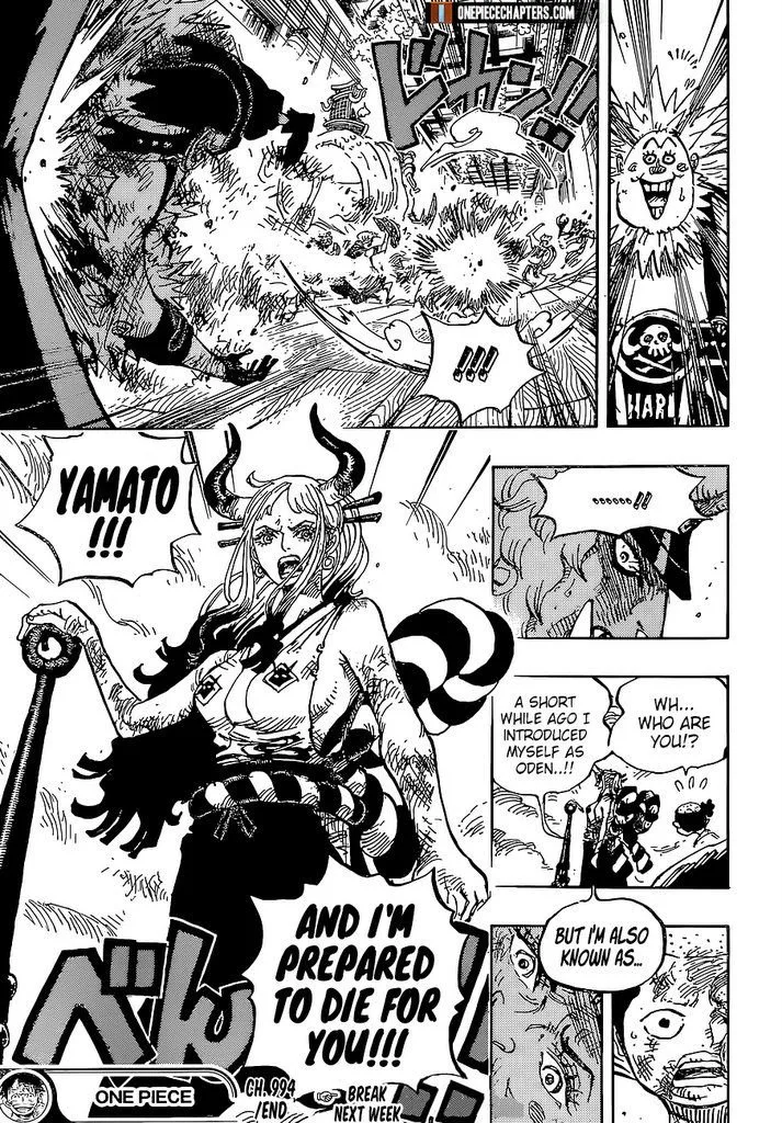 One Piece Chapter 994 page 17