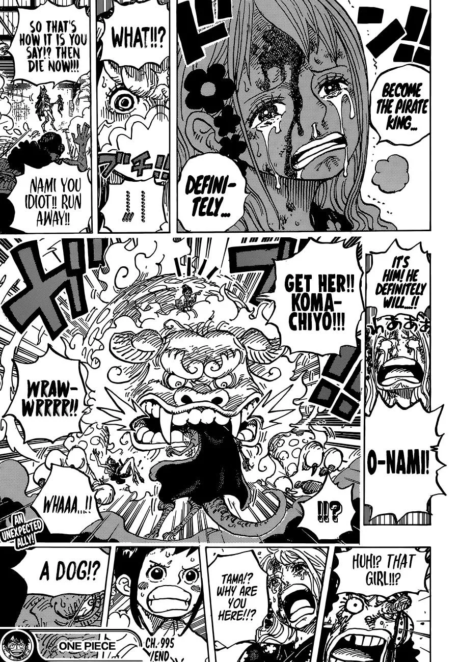 One Piece Chapter 995 page 17