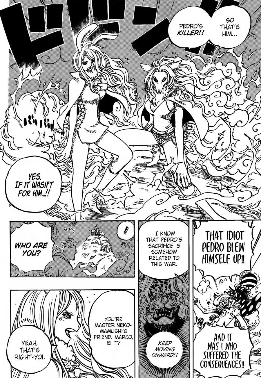 One Piece Chapter 995 page 6