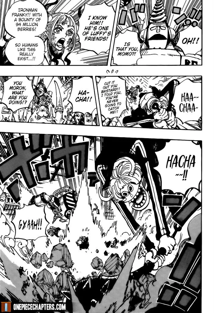 One Piece Chapter 996 page 8