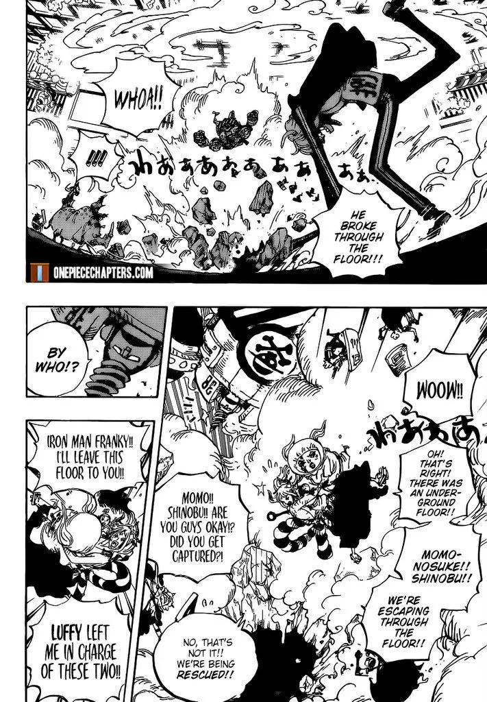 One Piece Chapter 996 page 9