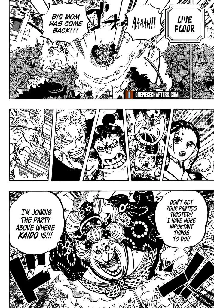 One Piece Chapter 996 page 17