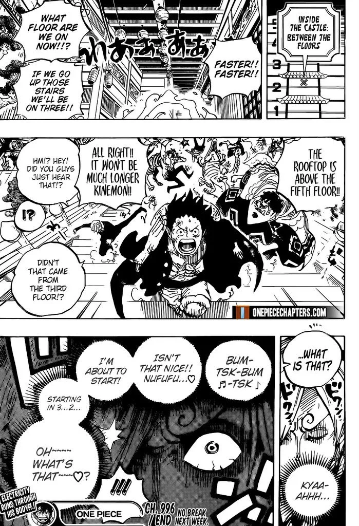 One Piece Chapter 996 page 18
