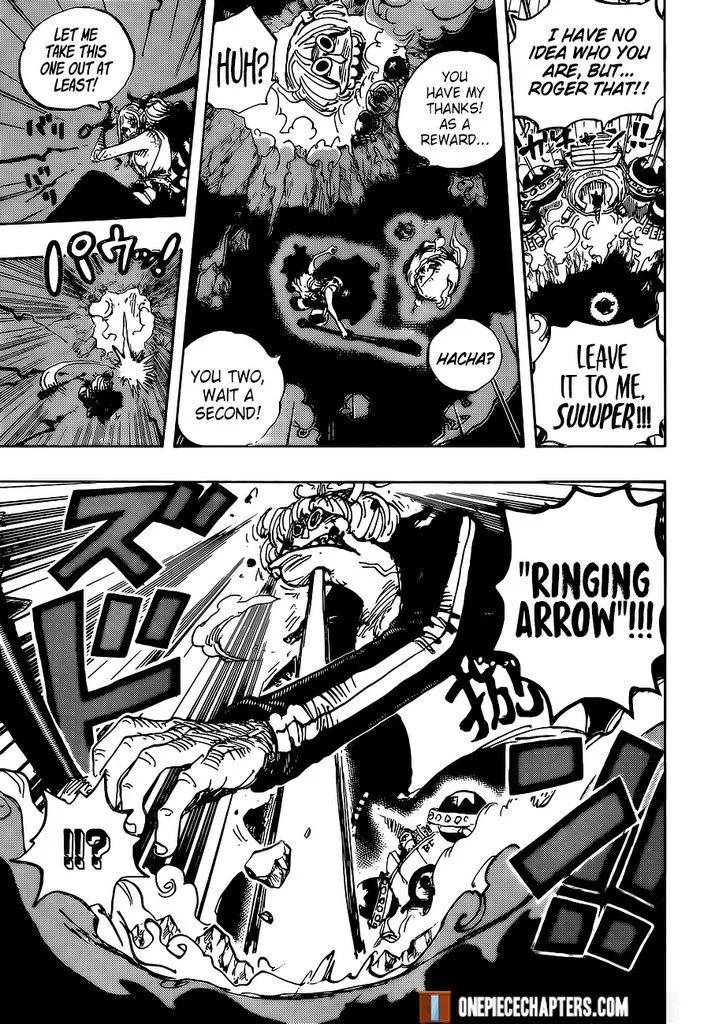 One Piece Chapter 996 page 10