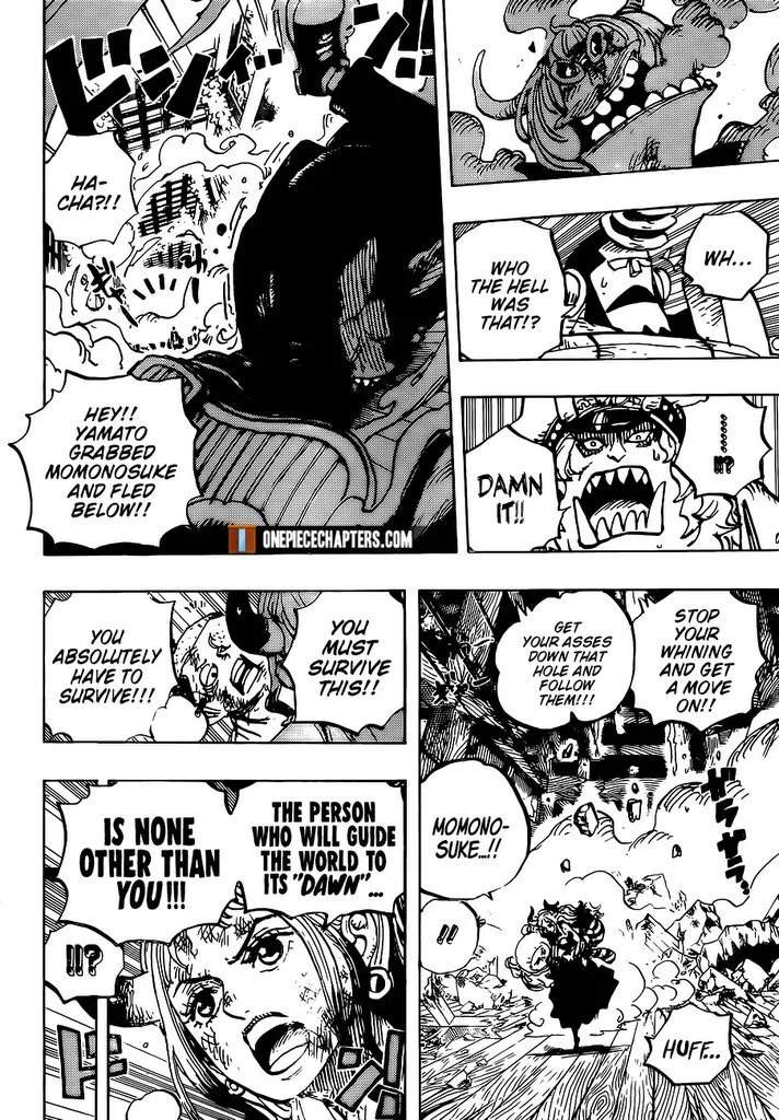 One Piece Chapter 996 page 11