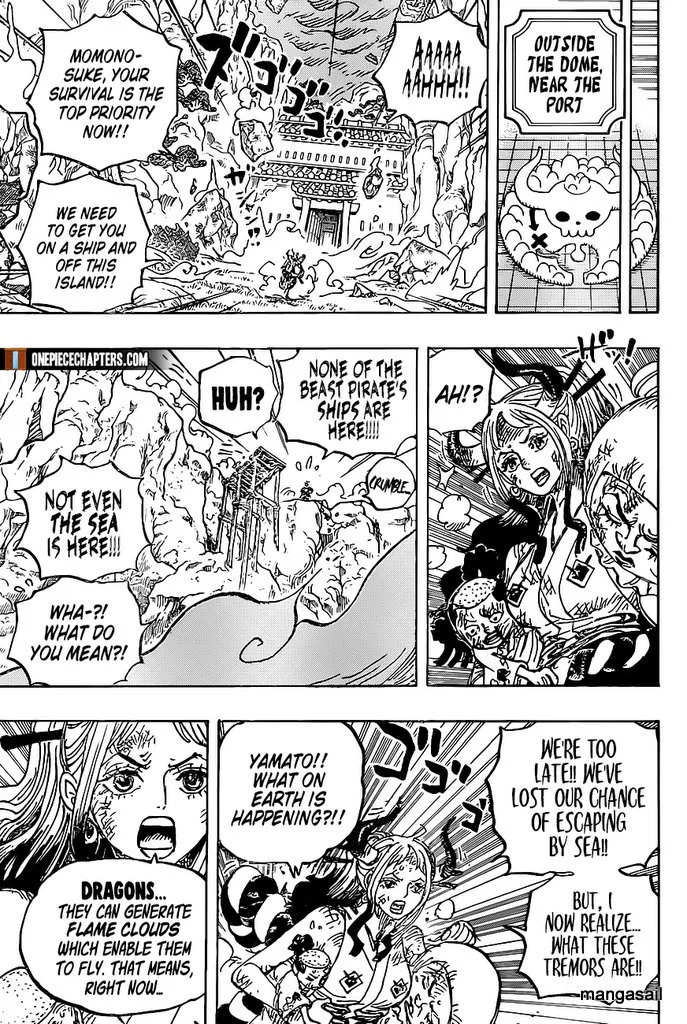 One Piece Chapter 997 page 16