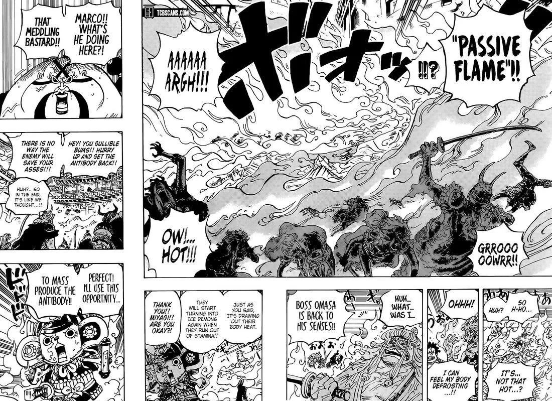 One Piece Chapter 998 page 5