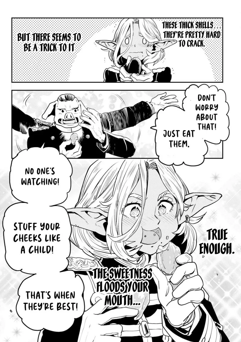 Orcsen Oukokushi - Yaban na Ooku no Kuni wa, Ikanishite Heiwa na Elf no Kuni wo Yakiharau ni Itatta ka Chapter 11 page 33