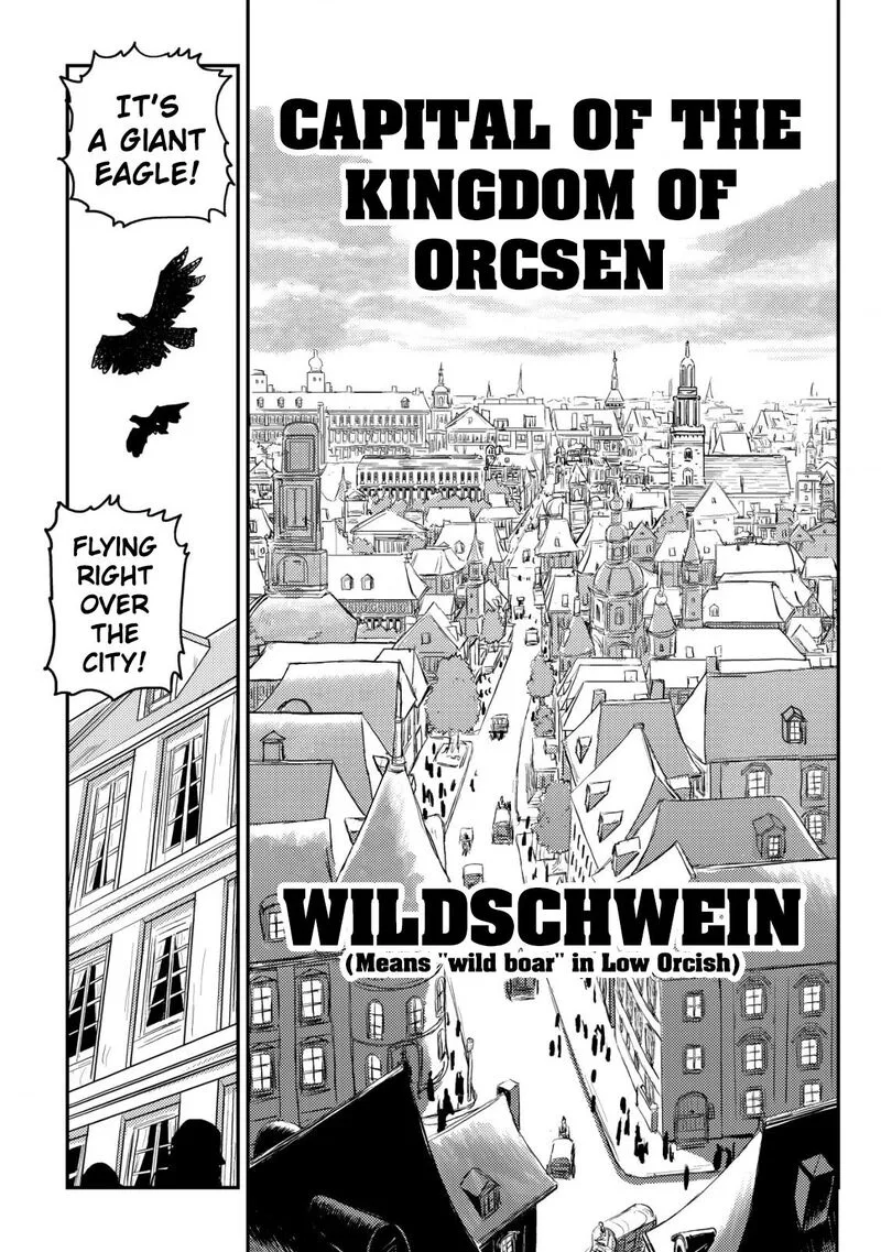 Orcsen Oukokushi - Yaban na Ooku no Kuni wa, Ikanishite Heiwa na Elf no Kuni wo Yakiharau ni Itatta ka Chapter 2 page 10