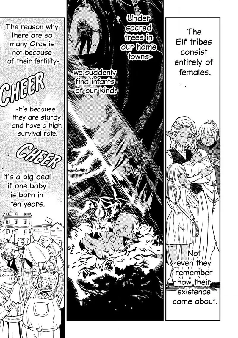 Orcsen Oukokushi - Yaban na Ooku no Kuni wa, Ikanishite Heiwa na Elf no Kuni wo Yakiharau ni Itatta ka Chapter 2 page 51