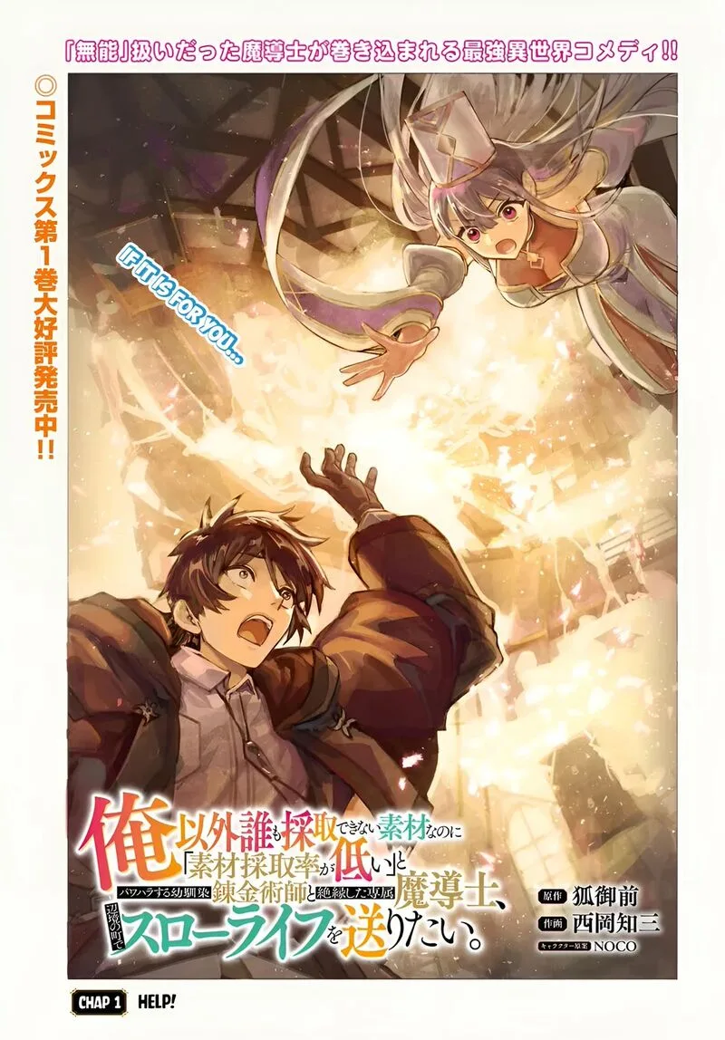 Ore Igai Dare mo Saishu Dekinai Sozai na no ni "Sozai Saishuritsu ga Hikui" to Pawahara suru Osananajimi Renkinjutsushi to Zetsuen shita Senzoku Madoushi, Henkyou no Machi de Slow Life wo Okuritai. Chapter 12 page 1