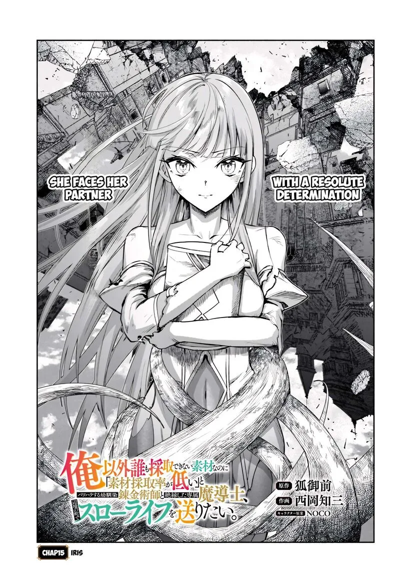 Ore Igai Dare mo Saishu Dekinai Sozai na no ni "Sozai Saishuritsu ga Hikui" to Pawahara suru Osananajimi Renkinjutsushi to Zetsuen shita Senzoku Madoushi, Henkyou no Machi de Slow Life wo Okuritai. Chapter 15 page 1