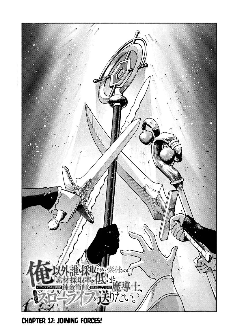 Ore Igai Dare mo Saishu Dekinai Sozai na no ni "Sozai Saishuritsu ga Hikui" to Pawahara suru Osananajimi Renkinjutsushi to Zetsuen shita Senzoku Madoushi, Henkyou no Machi de Slow Life wo Okuritai. Chapter 17 page 3