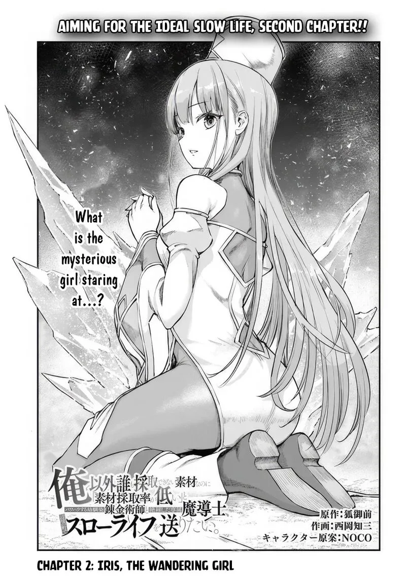 Ore Igai Dare mo Saishu Dekinai Sozai na no ni "Sozai Saishuritsu ga Hikui" to Pawahara suru Osananajimi Renkinjutsushi to Zetsuen shita Senzoku Madoushi, Henkyou no Machi de Slow Life wo Okuritai. Chapter 2 page 1