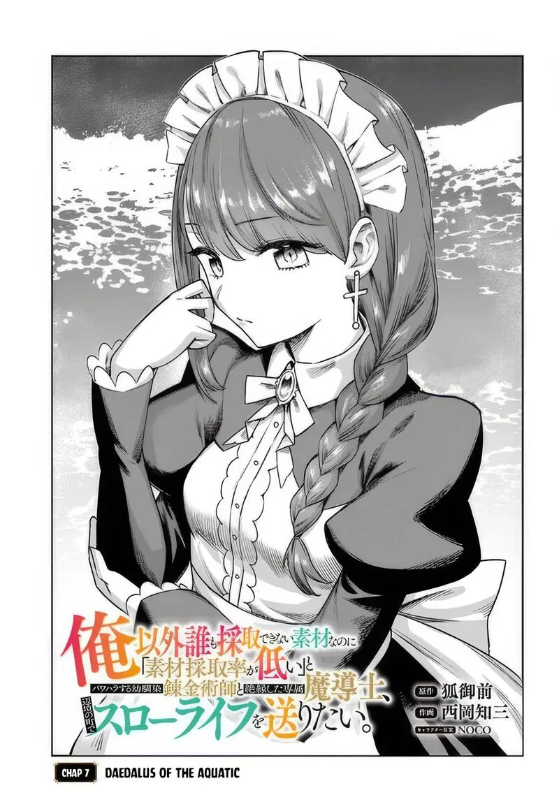 Ore Igai Dare mo Saishu Dekinai Sozai na no ni "Sozai Saishuritsu ga Hikui" to Pawahara suru Osananajimi Renkinjutsushi to Zetsuen shita Senzoku Madoushi, Henkyou no Machi de Slow Life wo Okuritai. Chapter 7 page 1