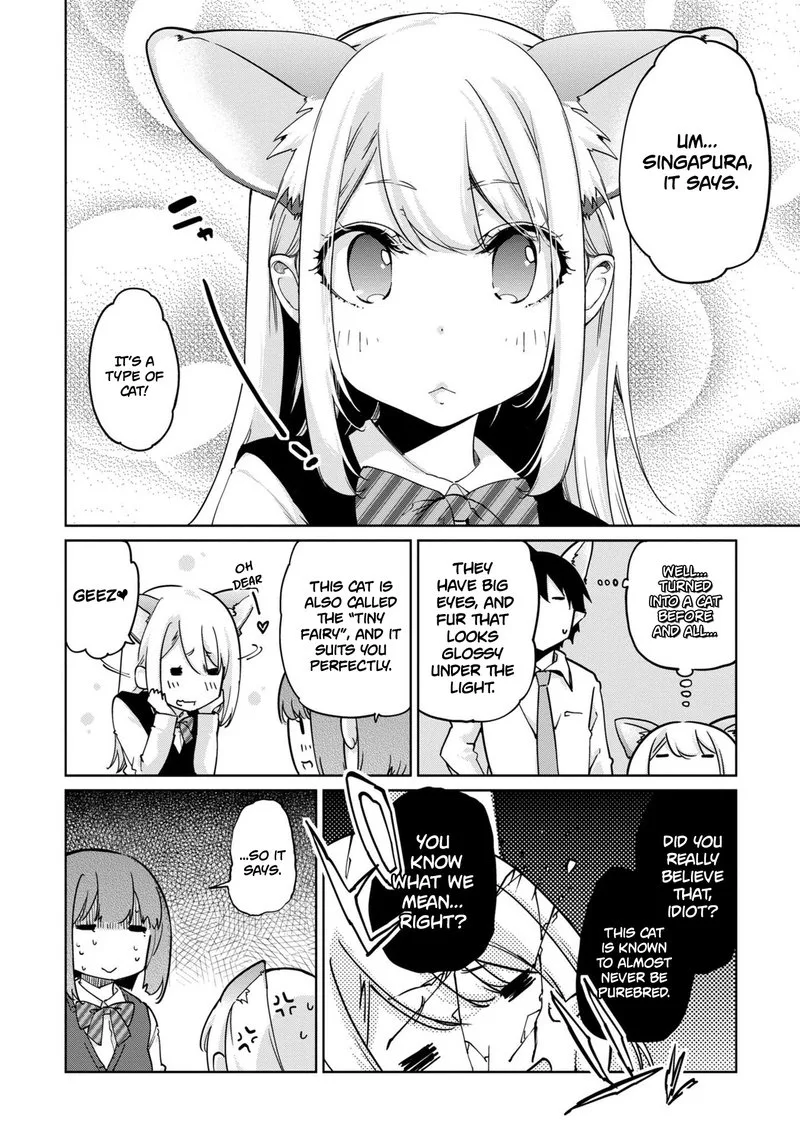 Oroka na Tenshi wa Akuma to Odoru Chapter 40.5 page 5