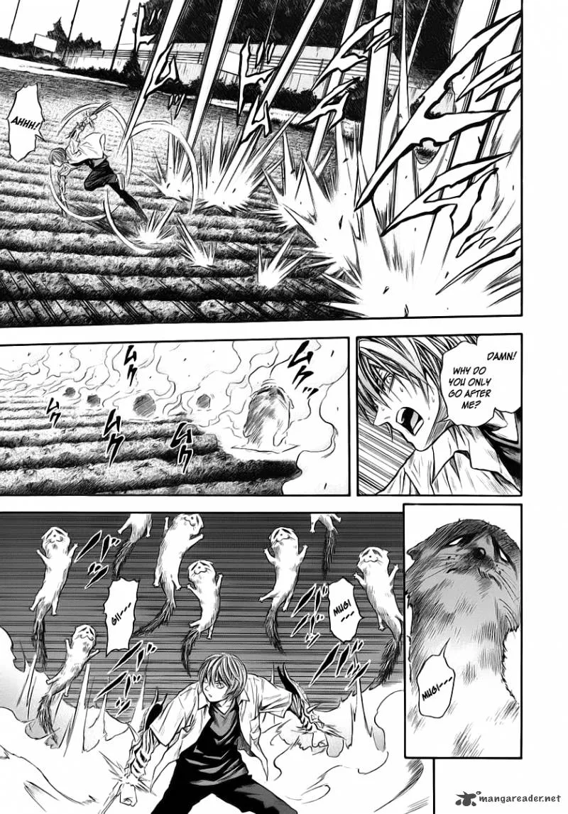 Otogi Matsuri Chapter 46 page 14
