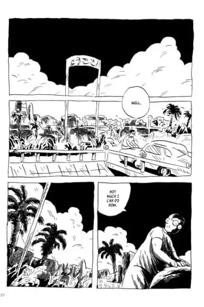 Palm Trees cover