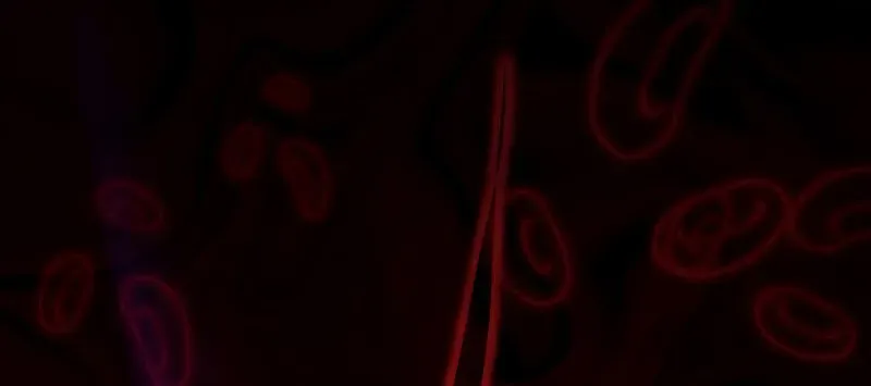 Past Life Regressor (2022) Chapter 121 page 56