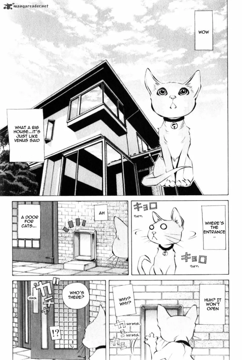 Pastel Chapter 125 page 25