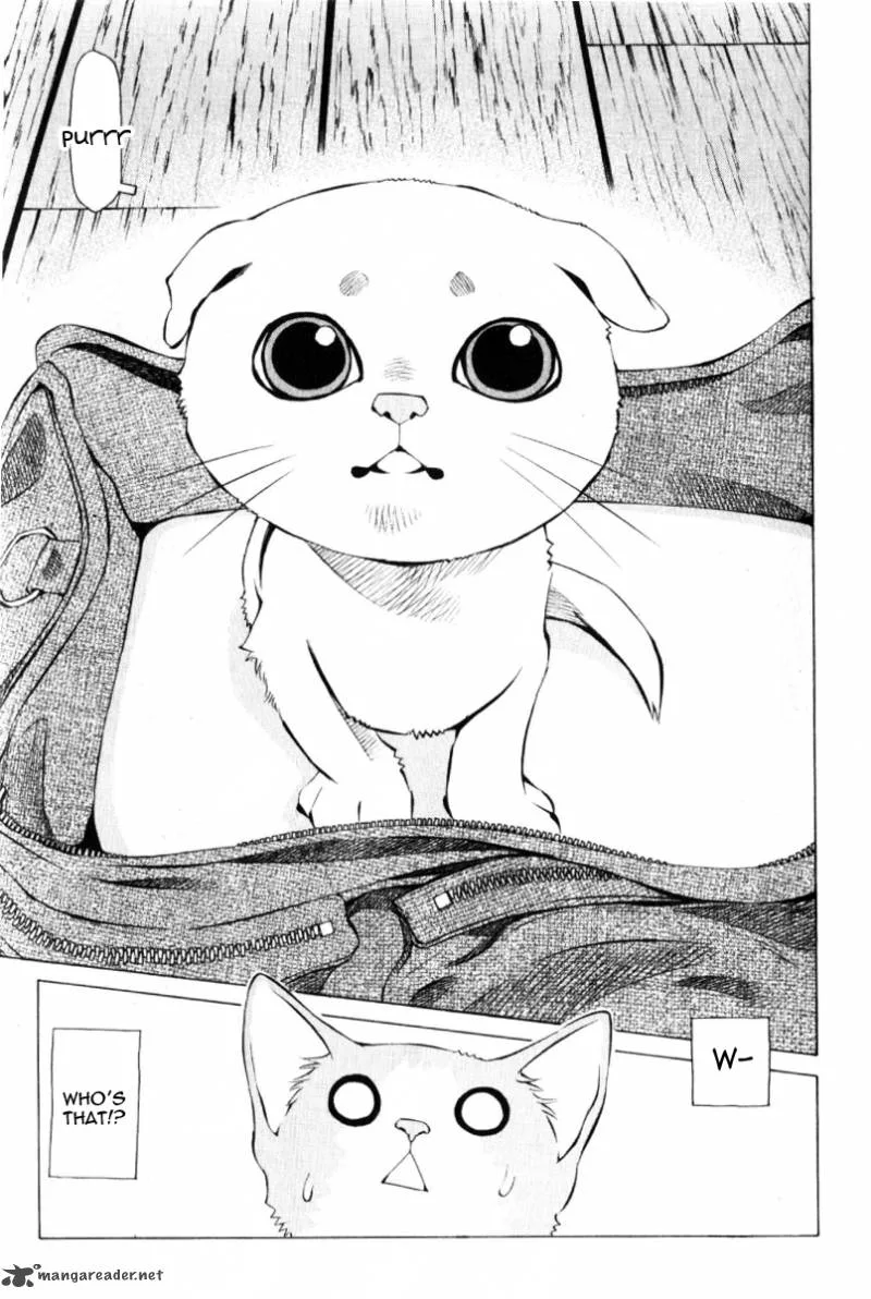 Pastel Chapter 125 page 3